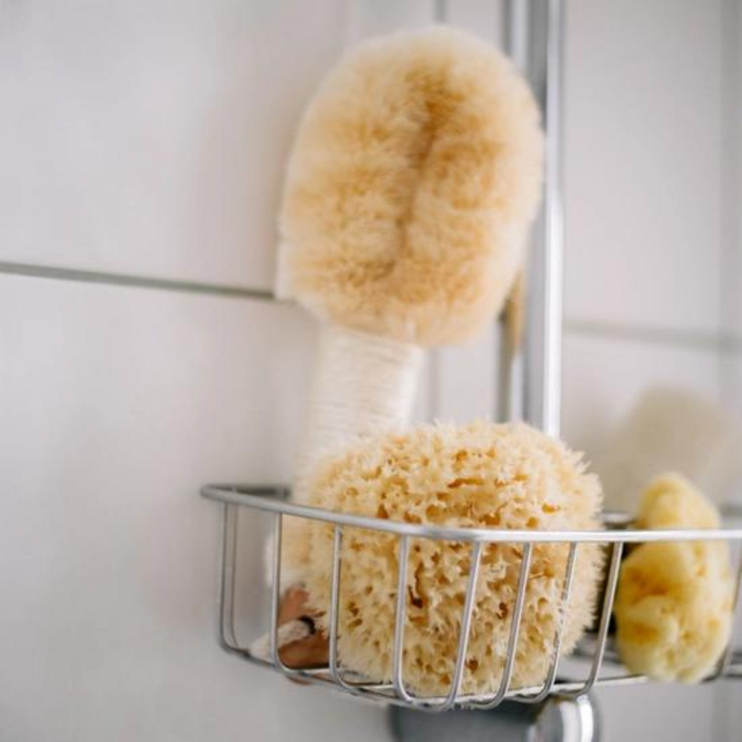 Natural Medium Sponge