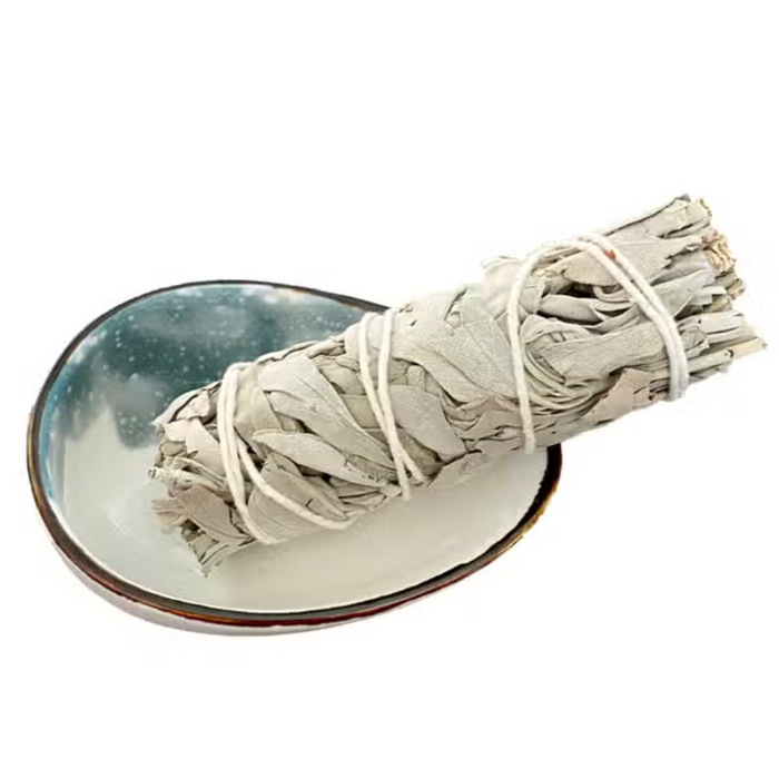 White Sage Stick/Ceramic Abalone Dish (Gift Box)